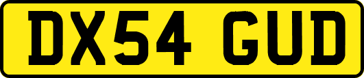 DX54GUD