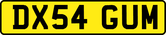 DX54GUM