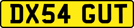 DX54GUT