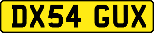 DX54GUX