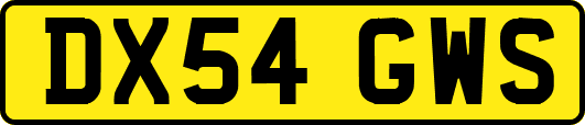 DX54GWS