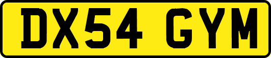 DX54GYM