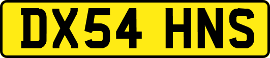 DX54HNS