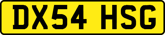 DX54HSG