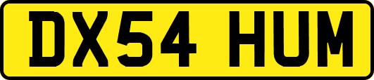 DX54HUM