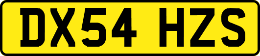 DX54HZS