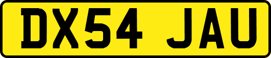 DX54JAU