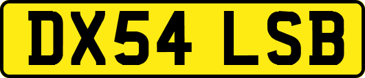 DX54LSB