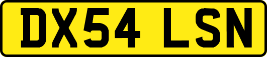DX54LSN