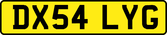 DX54LYG