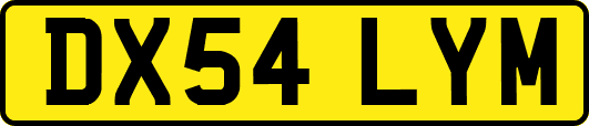 DX54LYM