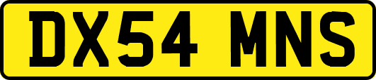 DX54MNS