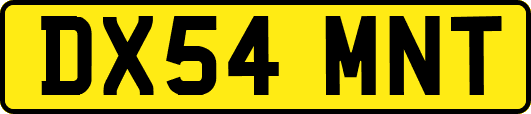 DX54MNT