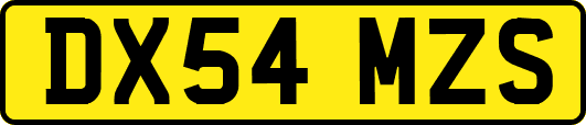 DX54MZS