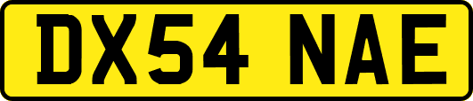 DX54NAE