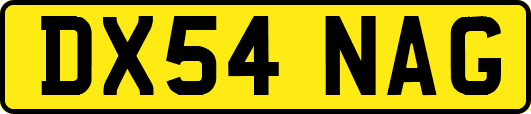 DX54NAG