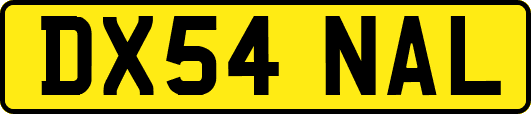 DX54NAL