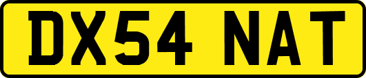 DX54NAT