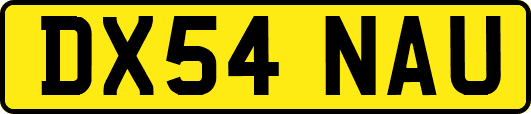 DX54NAU