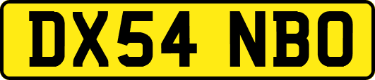 DX54NBO