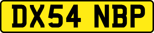 DX54NBP