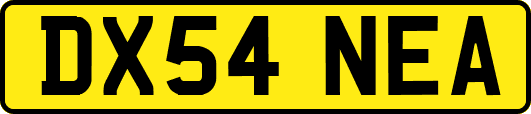 DX54NEA