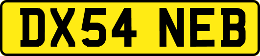DX54NEB