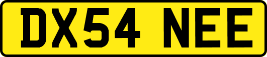 DX54NEE