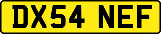 DX54NEF
