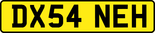 DX54NEH