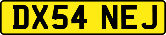 DX54NEJ