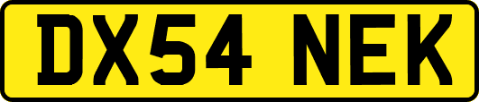 DX54NEK