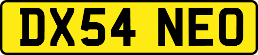 DX54NEO