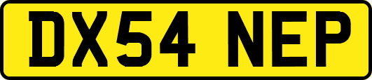 DX54NEP