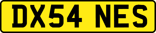 DX54NES