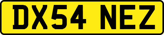 DX54NEZ