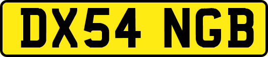 DX54NGB