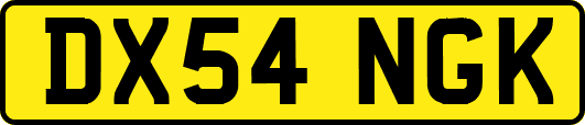DX54NGK