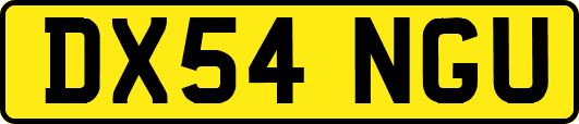 DX54NGU