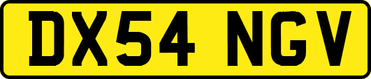 DX54NGV