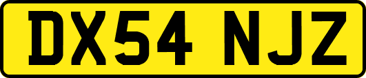 DX54NJZ