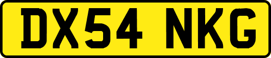 DX54NKG