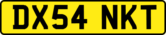 DX54NKT