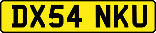 DX54NKU