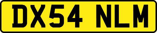 DX54NLM