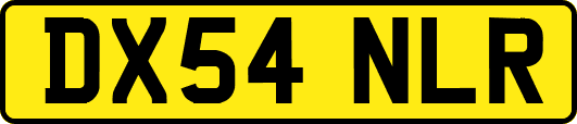 DX54NLR