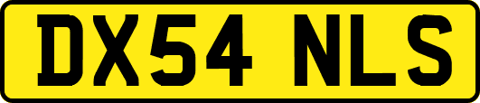 DX54NLS