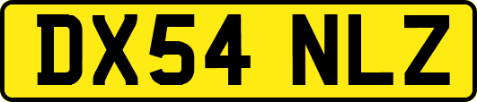 DX54NLZ
