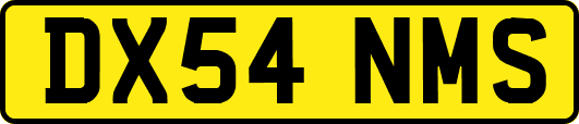 DX54NMS