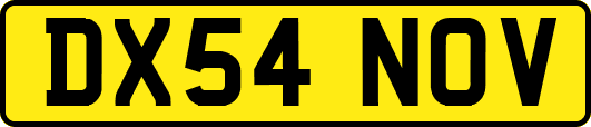 DX54NOV